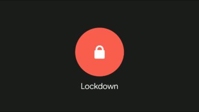 استفاده از حالت Lockdown Mode در اندروید