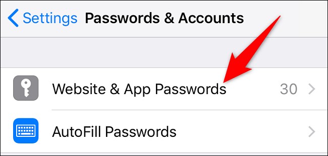 گزینه «Website & App Passwords»