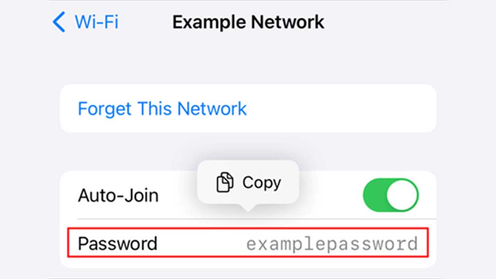 View Save Wi-Fi Password